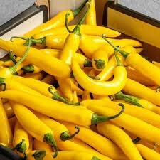 Chili Seeds for Planting Yellow - 100 pcs