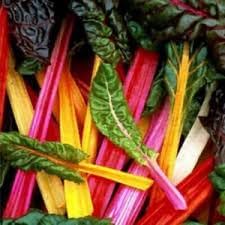 Swiss Chard Plant Seeds for Planting - 100 pcs
