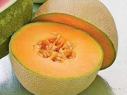 Musk Melon Fruit Seed Set for Sweet, Refreshing Melon Varieties 100 pcs