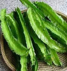 Sophocarpus Seeds for Planting - heirloom & Non-GMO Seeds