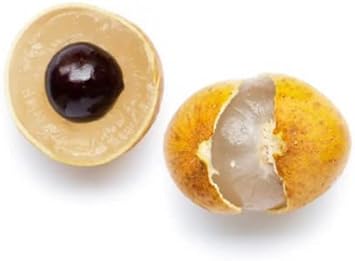 Golden Yellow Longan Fruit Seeds - A Rare Tropical Gem to Enhance Your Garden 100 pcs