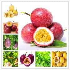 Mixed Passion Fruit Seeds for Planting - Multi-Colour for Tropical and Home Gardens
