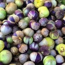Milpero Purple Tomatillo Vegetable Seeds – Small and Flavorful Variety 100 pcs