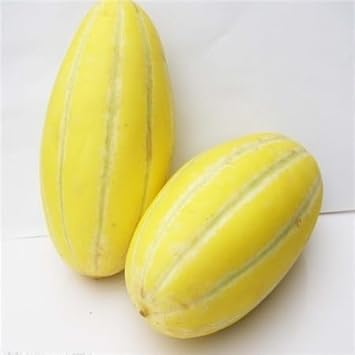 Musk Melon Fruit Seeds Yellow White 100 pcs
