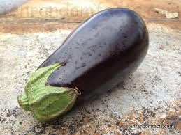 Eggplant Ichiban Seeds for Planting - 100 pcs