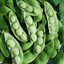 Lima Bean Seeds for Planting, 100 pcs