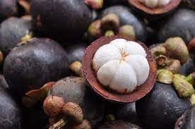 Mangosteen Fruit Seeds for Growing Sweet and Exotic Mangosteens 100 pcs