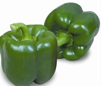 Dark Green Pepper Seeds for Planting - Spicy Variety 100 pcs