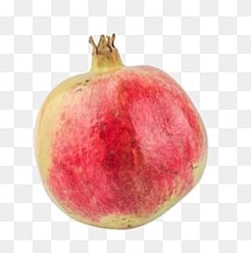 Green Pink Pomegranate Fruit Seeds for Planting - Heirloom & Non-GMO Seeds for Planting