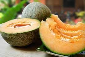 Yubari Melon Seeds for Growing Rare and Sweet Melon Varieties NON GMO Seeds