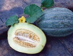 Heirloom Melon Fruit Seed Set for Rich, Sweet Melon Varieties 100 pcs