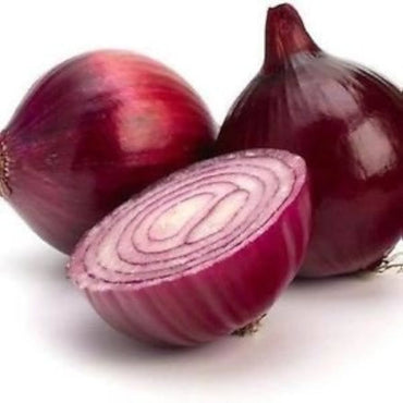 Burgundy red onion Allium cepa vegetable seeds for planting in kitchen garden or compact backyard rows