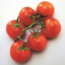 Mountain Tomato Solanum lycopersicum seeds for garden planting