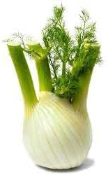 Fennel Seeds for Planting - heirloom & Non-GMO Seeds