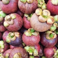 Mangosteen Fruit Seeds for Growing Sweet and Exquisite Mangosteens 100 pcs