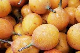 Passionfruit Seed Set for Tangy, Refreshing Fruit Growth 100 pcs