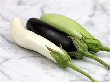 Eggplant Sweet Fruit Seeds for Planting Mixed 100 pcs