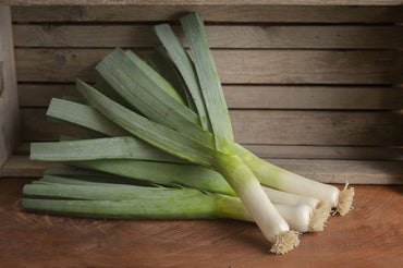 Rally – Organic Leek Seed