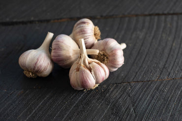 Chesnok Red – Organic Garlic Bulbs