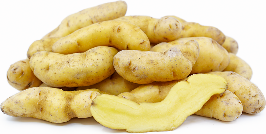 Russian Banana – Potatoes Seed