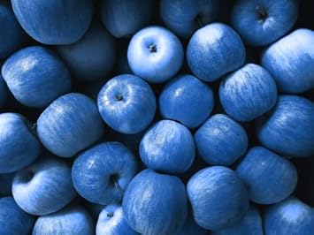 Blue Apple Fruit Seeds for Planting - Vibrant Blue Apples for a Unique Garden Experience