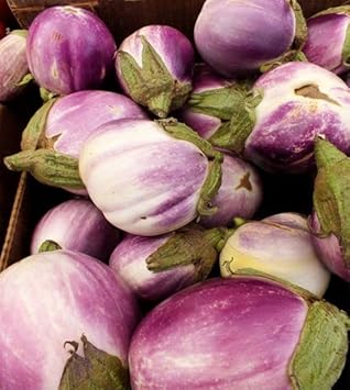 Lavender Eggplant Seeds for Planting - 100 pcs