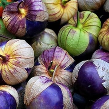 Tomatillo Seeds for Planting, 100 pcs