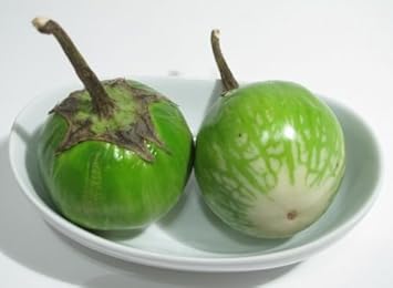 Green Eggplant Seeds for Planting - 100 pcs