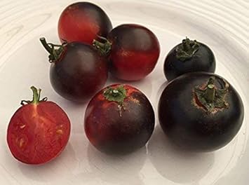 Red Black Midnight Tomato Seeds for Planting heirloom & Non-GMO Seeds