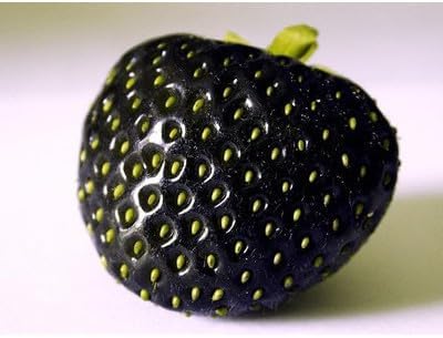 Strawberry Fruit Seeds for Cultivating Juicy Red Berries