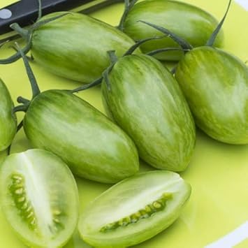 Tomato Vegetable Seeds for Planting – Light Yellow Variety