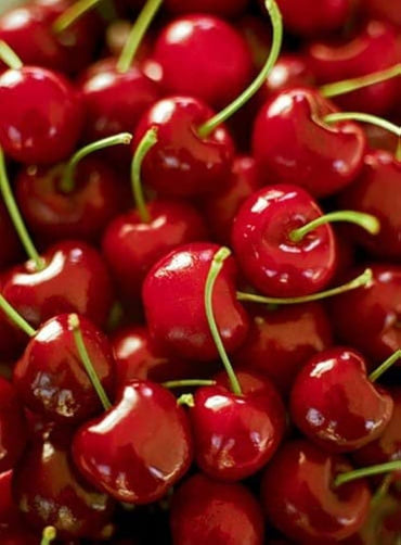 Barry’s Cherry Fruit Seeds for Cultivating Sweet, Juicy Cherries 100 pcs