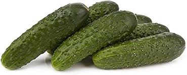 Marketmore – Cucumber Seed
