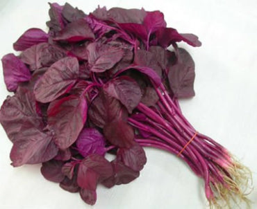 Red Leaf Vegetable Amaranth – Green Seed