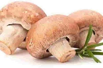 Mushroom Vegetable Seeds for Planting – Brown and White Mix 100 pcs