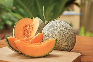 Cantaloupe Fruit Seeds for Planting Yellow 100 pcs
