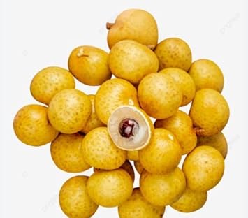 Golden Yellow Longan Fruit Seeds - A Rare Tropical Gem to Enhance Your Garden 100 pcs