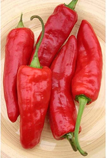 Marconi red pepper Capsicum annuum heirloom vegetable seeds for planting in kitchen garden or backyard beds