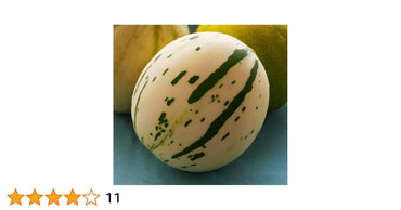 Snow Leopard – Melon Seed