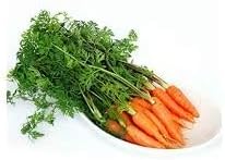 Little Finger Carrot Seeds for Planting heirloom & Non-GMO Seeds