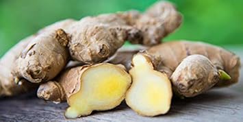 Heirloom Non-GMO White Brown Ginger Seeds for Aromatic and Medicinal Herb Garden Planting
