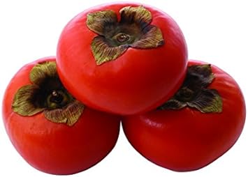 Red Diospyros (Persimmon) Fruit Seeds for Planting- Grow Sweet, Soft Persimmons at Home, Non-GMO Seeds