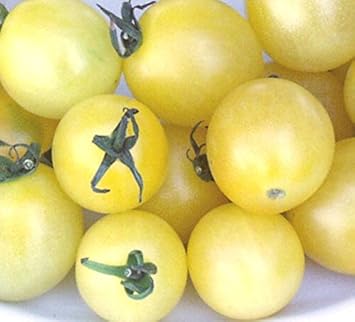 Light Yellow Tomato Seeds for Planting heirloom & Non-GMO Seeds