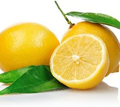 Yellow Lemon Fruit Seeds for Planting - Grow Luscious Yellow Lemons in Your Beautiful Home Garden