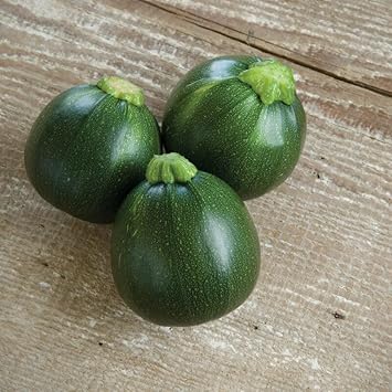 Eight Ball Squash Vegetable Seeds for Planting - heirloom & Non-GMO Garden Seeds