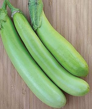 Eggplant Sweet Fruit Seeds for Planting Green 100 pcs