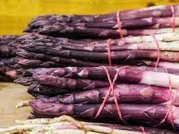 Asparagus Asparagus officinalis seeds for garden planting