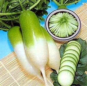 Rainbow Radish Seeds for Planting Green White - 100 pcs