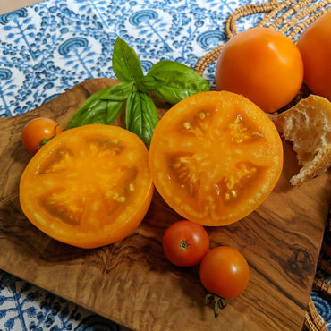 Marmalade Skies – Organic Tomato Seed