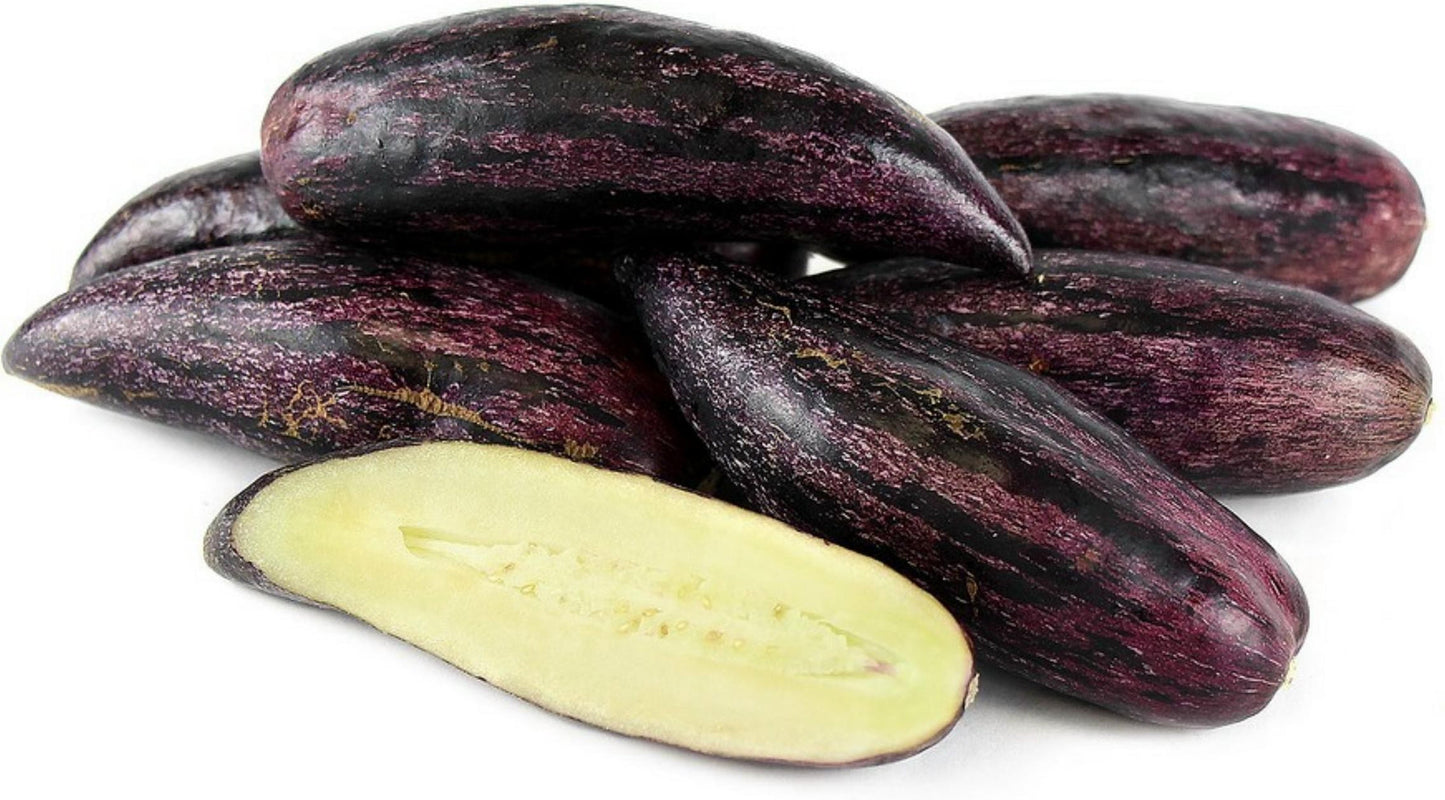 Rare Giant Purple Pepino Fruit Plant (Solanum muricatum) Seeds for Planting - A Rare and Sweet Melon-Like Fruit to Enhance Your Garden